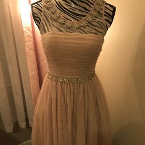 Blush Tulle Dress